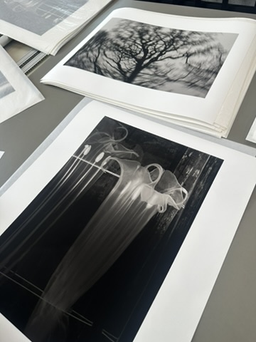 Studio prints