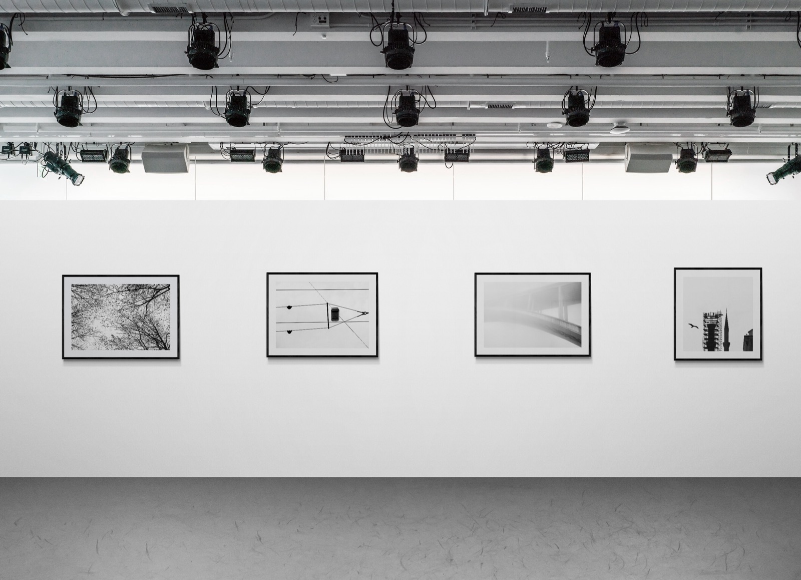 In Situ — Photography in living spaces